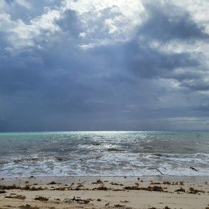 Meet your Posher, Noneya